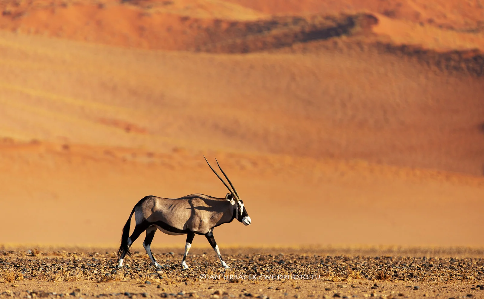 Namib-Naukluft NP, Namibie